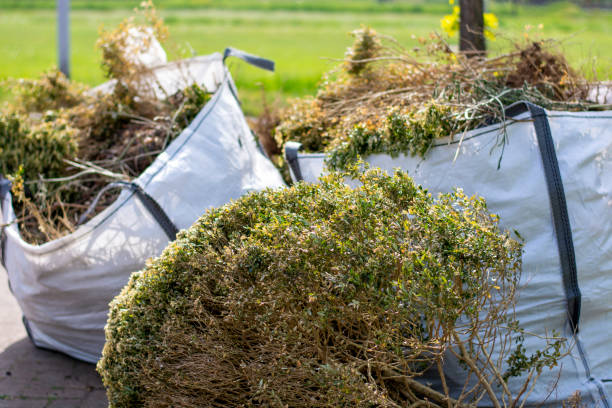 Best Professional Junk Removal  in Blackville, SC